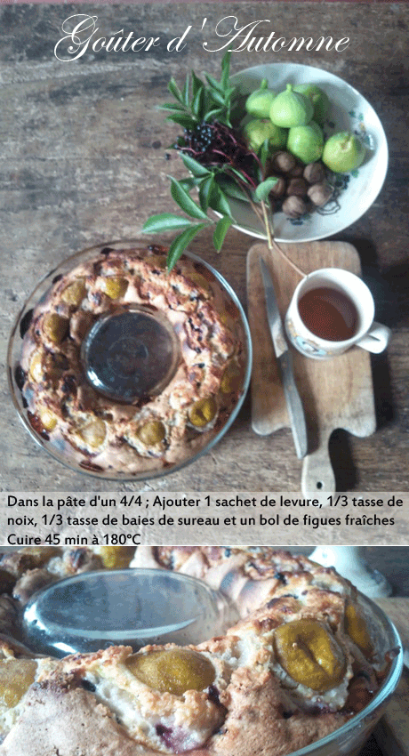 gâteau aux noix et aux figues