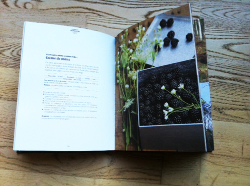 photo2 l'appel de la forêt - vue intérieure 2